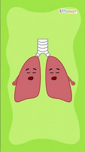 Organs Of A Human Body | What's Inside Your Body? | EMoMee #shorts #kids