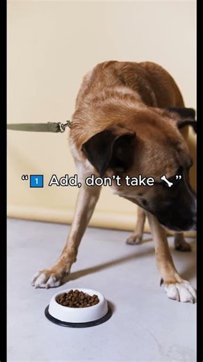 How to Stop Food Aggression in Dogs 🍗❌ | 3 Quick Fixes