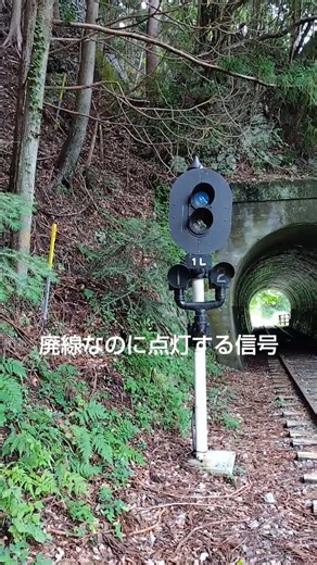 廃線小道途中の信号機 #大井川鉄道