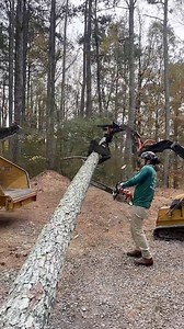 342K views · 1.1K reactions | Call us for a free estimate ☎️(678) 457-3487 ☎️(678) 677-9102 . . . #trees #treeremoval #treework #arborist #tree #stihl #stumpgrinding #treecare #landscaping #treetrimming | Jireh Tree Services & Landscaping | Facebook