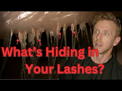 What’s Really Living in Your Eyelashes (Demodex Explained)