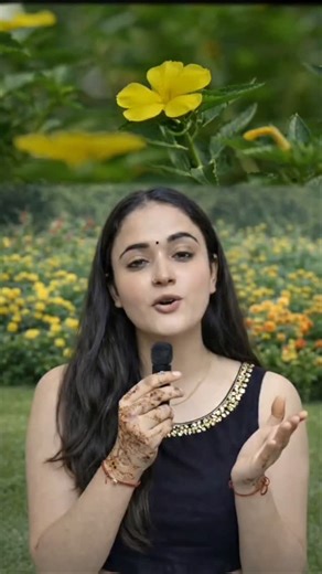 Divya Pandey🔮✨ ♈ Astrology | Love | Universe on Instagram: "VALENTINE 14 FEB: PORTAL ACTIVATED ✨💚🧿 ​ This digital transmission is calibrated for Neural-Heart Frequency and Karmic Debt Clearance. According to Celestial Mechanics and Vibrational Numerology, the Feb 14th window is a Master Number 5 (1+4) portal, triggering a Timeline Splitting for specific soul clusters. If your initial is A, P, K, M, R, N, L, T, V, B, D, J, G, or I, you are bypassing the old matrix for an Abundance Reality. ​14