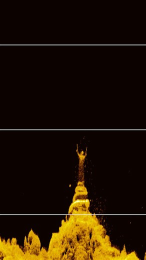Check out this MEGA Down Imaging screenshot of the “Christ of the Abyss”👀 #Humminbird