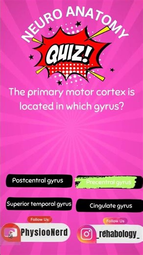 Neuro Anatomy exam ready MCQs 71