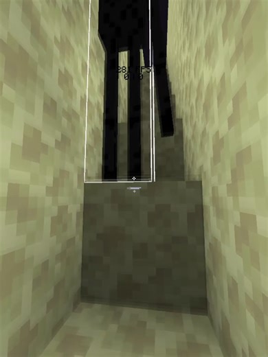 Minecraft Twins Say Goodbye