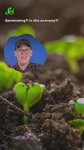 Getting plants to sprout takes more than just a green thumb. And researchers are working to crack the code on how to get more plants to germinate faster, to help farms do better! #science #learnontiktok #scishow #stem #botany