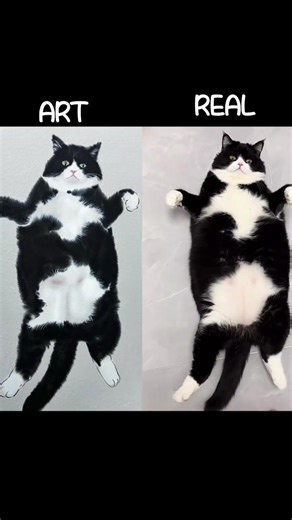 Cat Art 🐱🎨 | Cute & Aesthetic Drawing Tutorial