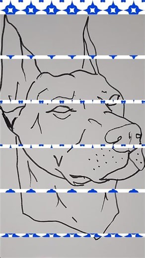 Dog Drawing for Beginners | Step by Step Sketching