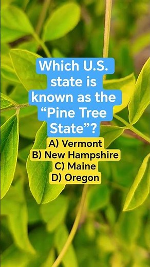 Which U.S. state is known as the “Pine Tree State”?