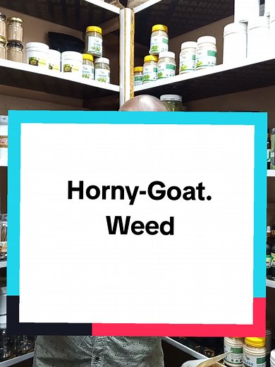 Horny Goat Weed Health Benefits for Libido and Wellness
