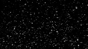 Snow Falling Background Seamless Loop