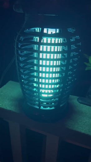 This corded bug zapper is one of those simple things that makes a huge difference—just plug it in