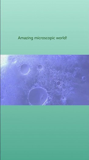 Amazing microscopic world! #science #shorts