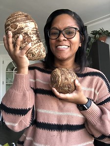 Don't Plant Your Elephant Ear Bulbs Until You Read This! - The Thrifted Planter