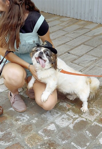 Pet-Friendly Cowboy Town: Bring Your Leashed Pets