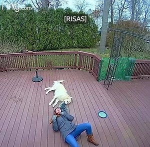 Me da risa su risa 🤣 | México Pet-Friendly