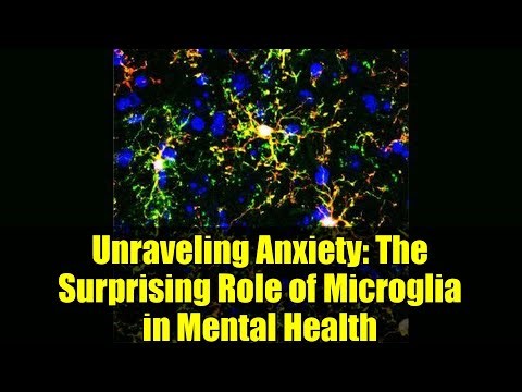 Unraveling Anxiety: The Surprising Role of Microglia in Mental Health