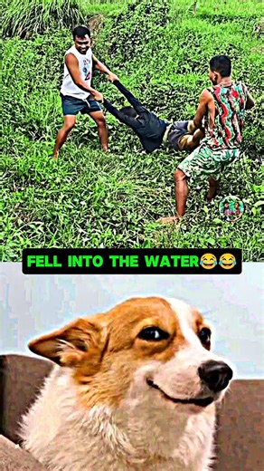 Fell into the water😂😂 Part 54 #funny