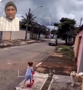 2.5M views · 12K reactions | Becareful when your children are playing alone outside #fblifestyle | Woodrow 1 | Facebook