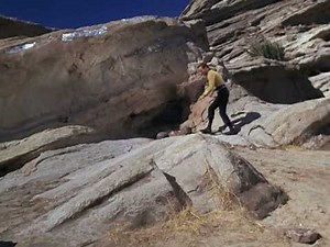 How to fight a slow moving lizard