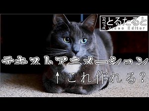 【Aviutl】テキストを何もないところから出す方法【テキストアニメーション】
