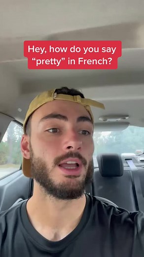 Understanding French Adjectives: Beauty and Gender