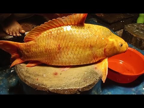 Uzzal Fish Cutting Various types of fish cutting 🐠🐟🐠plese joyan &enyoy my live.#2ufc#fish#vairal.