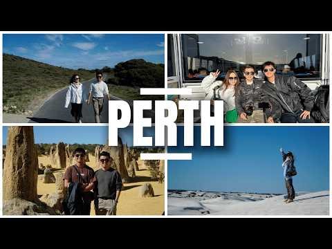 在浪漫的珀斯蓝色小房子求婚💍｜珀斯一日游｜Rottnest Island 寻找世上最快乐的动物Quokkas【西澳三人行EP1】