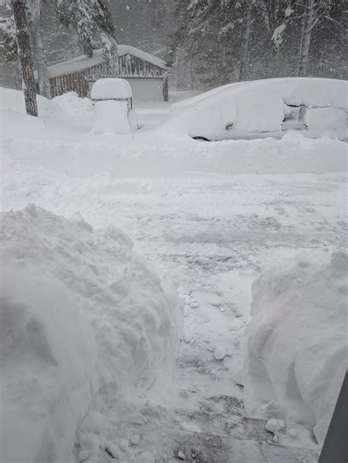 My plow guy is amazing 🙌 Husband isn't here today to run the backhoe (I'll definitely need a lesson soon....) His plow got stuck and he trudged the 500' to the barn in 3' of snow to get our backhoe and plow so I can get to the animals. I sent him home with plenty of sourdough! 🍞❤️ | Willette Farm