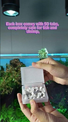 Boost Your Aquarium Plants with FZONE Root Tabs 🌿💧 | Easy Growth Hack!