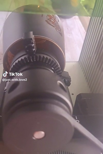 Halloween kann kommen 🎃🎃 #halloween #halloweenparty #halloweenpartyideas