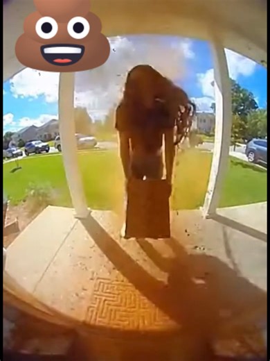 Porch Pirate vs Poop Package Part 1 💩💀 She said thanks 🖕😈 Featuring our original devil mascot 😈📦 No one was harmed 🎬 #porchpirate #instantkarma #fyp #viral #fails #karma #owned #foryou #poop #stinky #part1 #fypシ #xyzbca #karmastinks #devilmascot