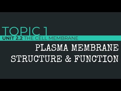 AP Biology: Plasma Membrane Structure & Function