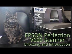 Epson Perfection V600 Photo Negative and Slide Scanner - Unboxing and Introduction