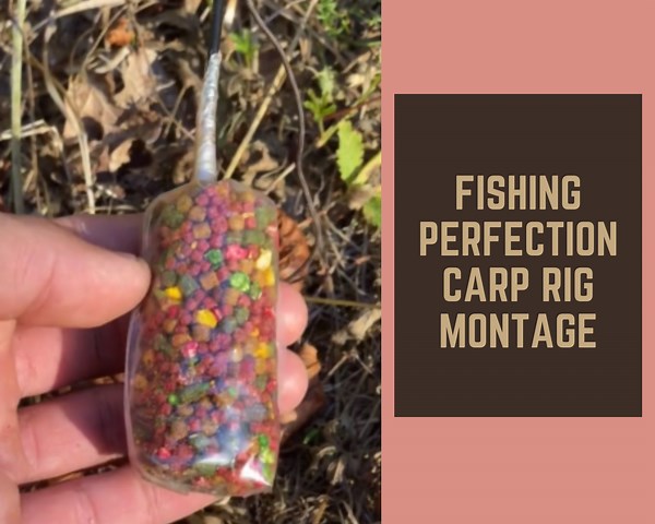 Mastering the Perfect Carp Rig Montage