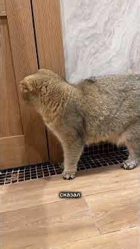 Stuck poopie