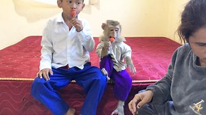 164K views · 10K reactions | Jason So Lovely Rejoice Eat Lollipop Gift With Brother When Back From School | Monkey Jason | Facebook