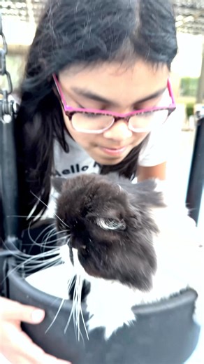 Family Fun with Cyrus 😻 | Cyrus