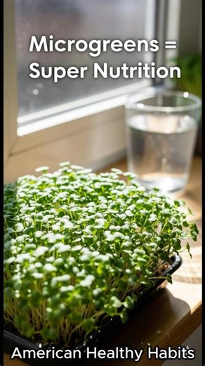 Microgreens Maximum Nutrition, Minimum Space