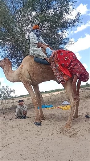 What fun did the bride and groom have with each other☺️😘👰