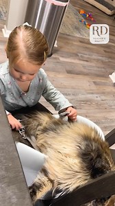 Teaching your cat some table manners! | Reader's Digest