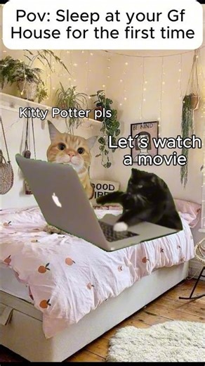 Cat Meme Your bf sleeps over for the first time #catmemes #relationship #relatable