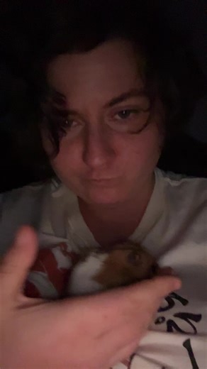The only hamster that will let people touch and hold him….unlike our dwarf hamster Titan she is only for observing tho I see TikTok hamster core videos where some are dwarf hamsters and some love attention I guess it’s kinda different when u just had this girl for 3 days now