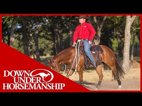 Clinton Anderson: How to Correct a Barn-Sour Horse - Downunder Horsemanship