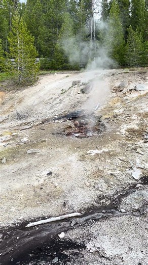 Bubbling Geothermal Vent and Splashing Water Sounds | Norris Geyser Basin, Yellowstone