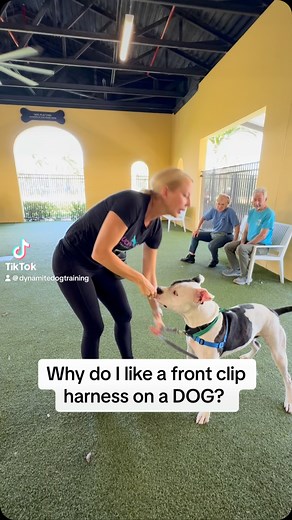 86 reactions · 8 comments | Lucky Dog Training Club on Reels | Facebook