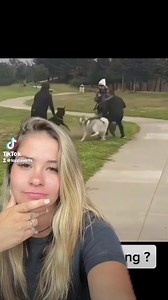 44K views · 893 reactions | How to prevent & stop a dog fight #dogtrainer #dogtraining #greenscreenvideo #dogowners #dogowner #dogownerproblems #dogsoftiktok #dogownersoftiktok #puppiesoftiktok #dogfight #fight #dogs #dog #foryoupage #fyp #foryou #howto #howtostop #leashyourdog #viral | Top Paw K9 Academy | Facebook