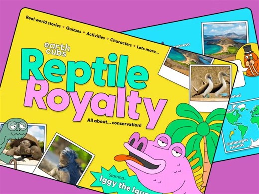 Reptile Royalty Bookazine | Teaching Resources