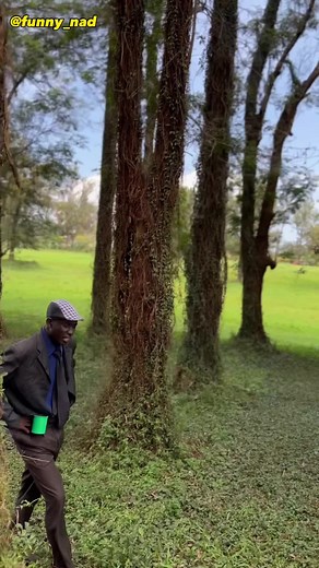 Funnynad (@funny_nad)’s videos with original sound - Funnynad