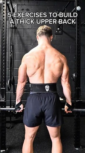 5 Exercises to Build a Thick Upper Back
